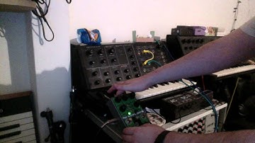 Effector 13/Devi Ever Truly Beautiful Disaster & Korg MS10 Synthesizer