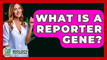 What Is A Reporter Gene? - Biology For Everyone