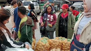 November 22, 2025 Tigapanah Market Info, Roga and Singa Tax