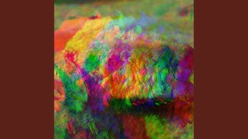 High-class Backdrops for Unwinding Doggo