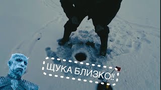 Щука близко/Pike is comming🥶