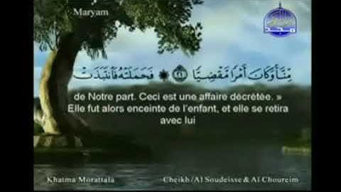 الجزء السادس عشر 16 من القرآن الكريم بصوت الشيخين السديس والشريم