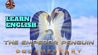 تعلم اللغة الإنجليزية مع الفيلم الوثائقي | البطريق الإمبراطور | الصوت الانجليزية مع ترجمة.