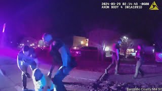VIDEO: Man arrested for DWI, fighting BCSO deputy