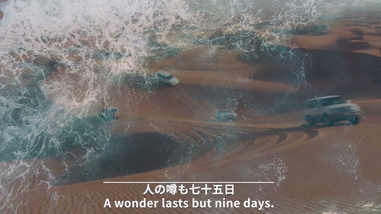 Short Music 今日のことわざ 8 Today S Proverb Shorts Youtube