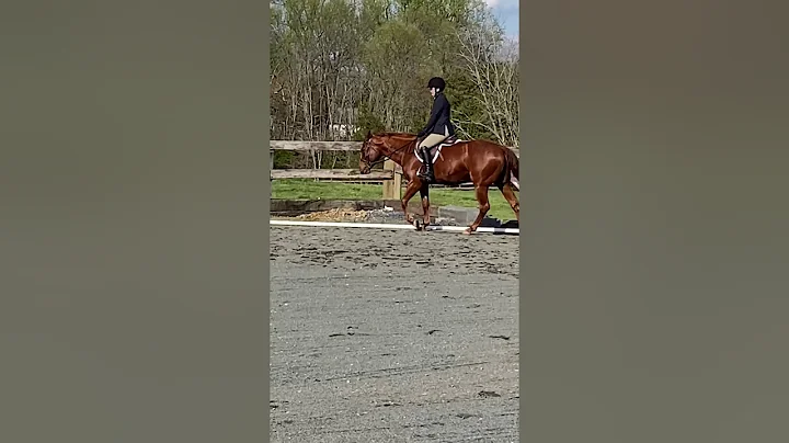 Alexis Cox Cokee English open w/t hunter