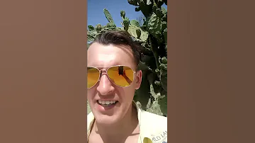 Шипы и кактус роза отдыхает !