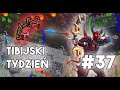 [PL] Tibia - Tibijski Tydzień | Finał Feru, Thais i Goldów! #37