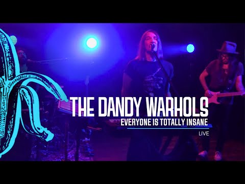 Putar Everyone Is Totally Insane - The Dandy Warhols