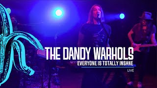 Watch Dandy Warhols Everyone Is Totally Insane video