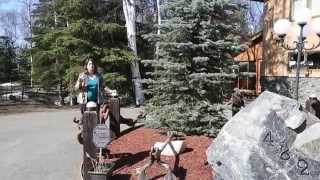 Beautiful Lower HIllside Estate with HUGE 4 Car Garage/Shop for sale in Anchorage, Alaska
