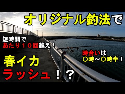 Somewhere in Chiba Prefecture] A spring squid rush with an