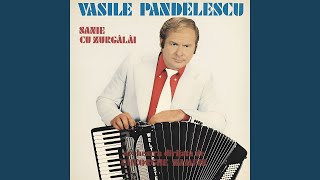 Pădure, Soro Pădure