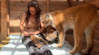 LYNX CUBS and their first manicure