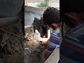 repair the plant #trending #viral