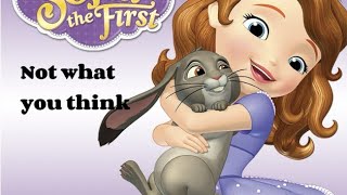 Famous Sofia the first memes that are hilarious Wealth