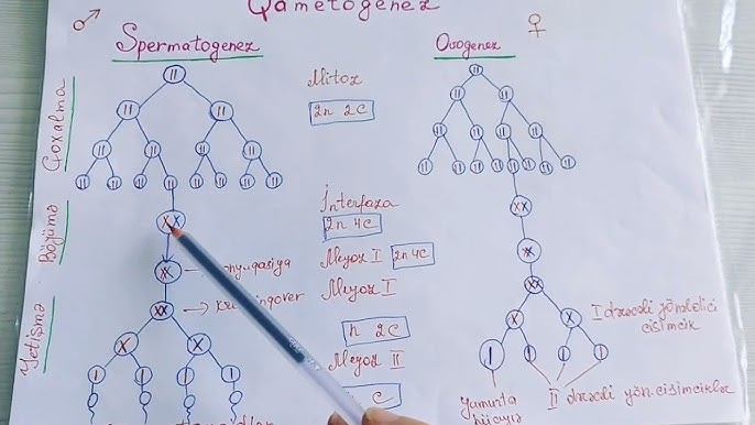 Soruvchi Dik bilan cuma yuzi foto