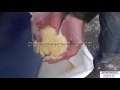 Зернодробилка Эликор 1 исполнение 2 измельчитель зерна