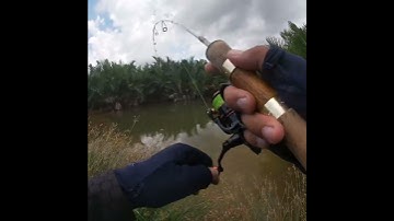 Đi câu cá chẽm dạo 😂