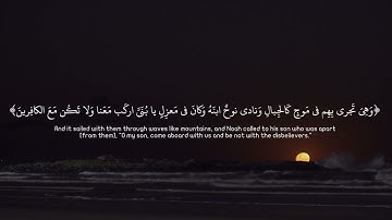 ما تيسر من سورة هود، بصوت القارئ منير رحمه الله.