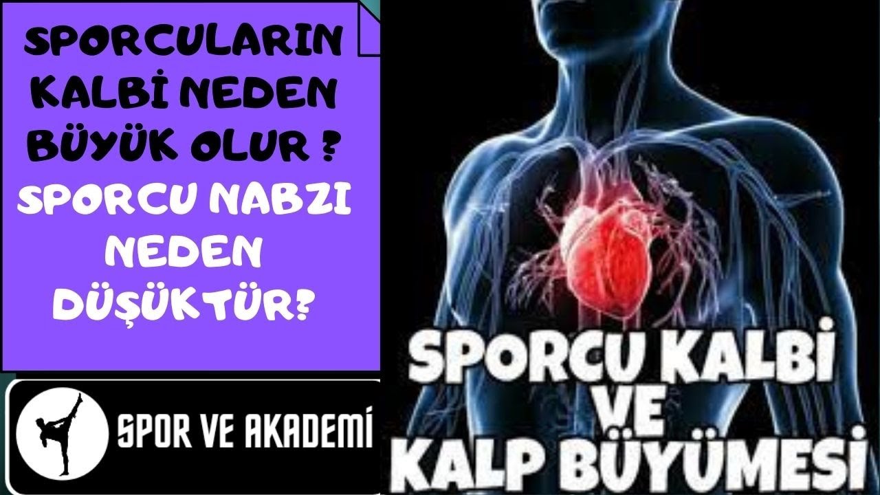SPORCU KALBİ NEDEN BÜYÜK OLUR ve NABIZLARI NEDEN DAHA DÜŞÜK OLUR?
