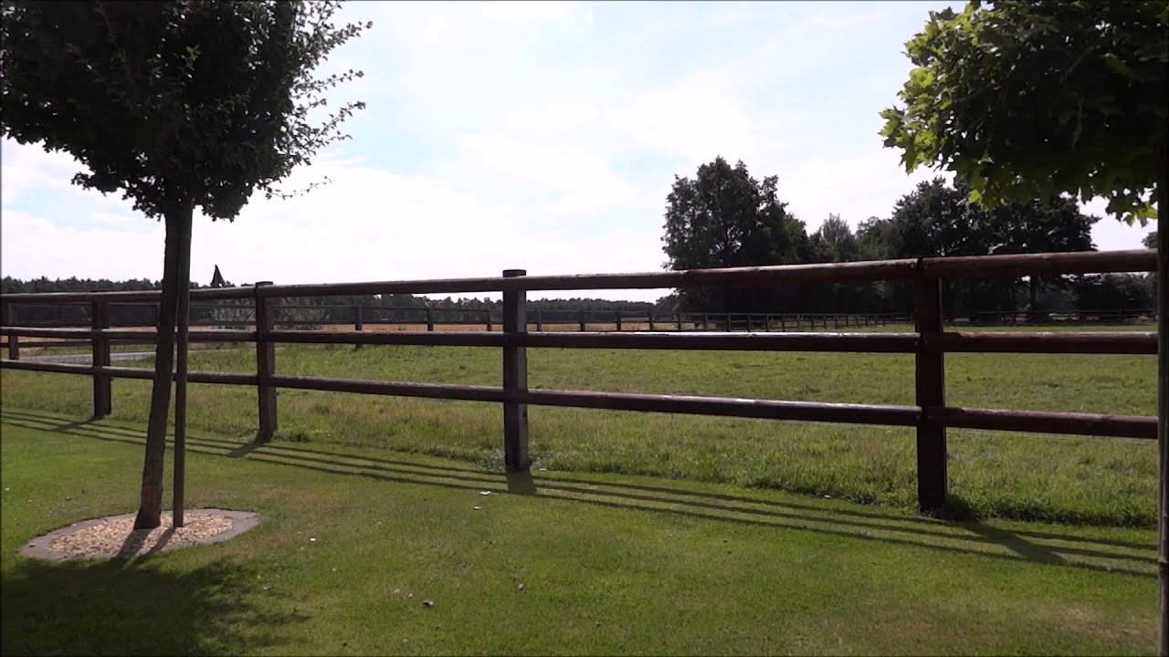 Husqvarna Nuda 900R Flyby Sound