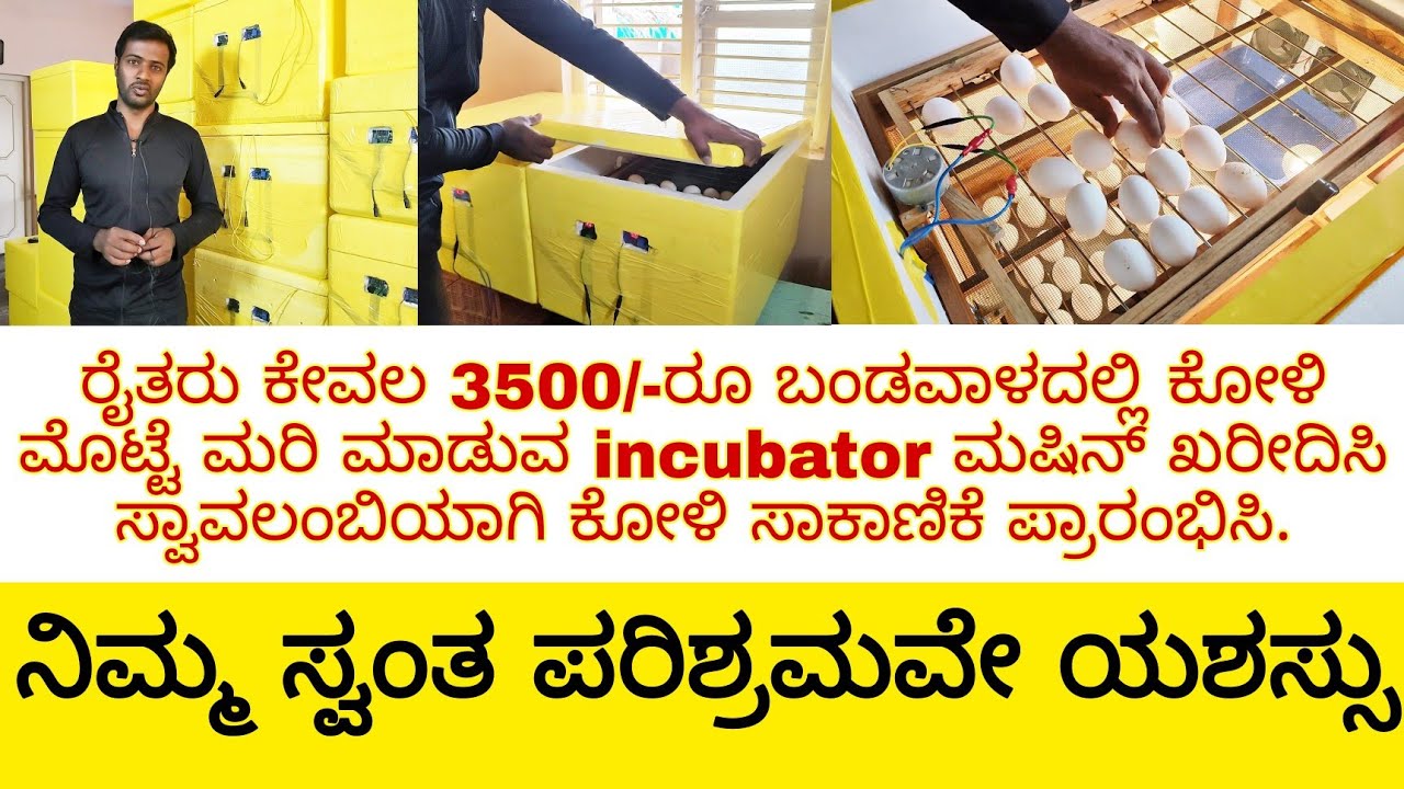 ರೈತರು ಕೇವಲ 3500/-ರೂ ಬಂಡವಾಳದಲ್ಲಿ ಕೋಳಿ ಮೊಟ್ಟೆ ಮರಿ ಮಾಡುವ incubator ಮಷಿನ್ ಖರೀದಿಸಿ
