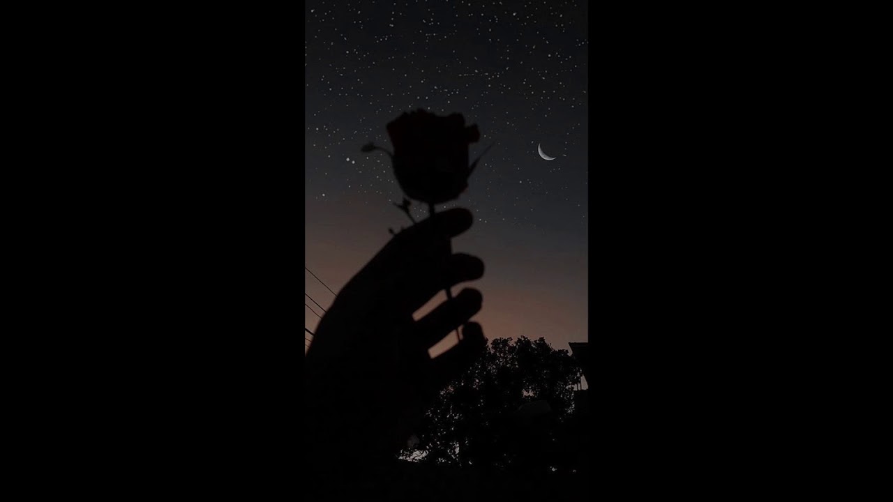 AlienBeats #6  🙏👽 AlienBeats 👽🙏