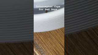 Do Interceptor Cups Really Work to Catch Bed Bugs? YES 😅 #entomologist #bedbug