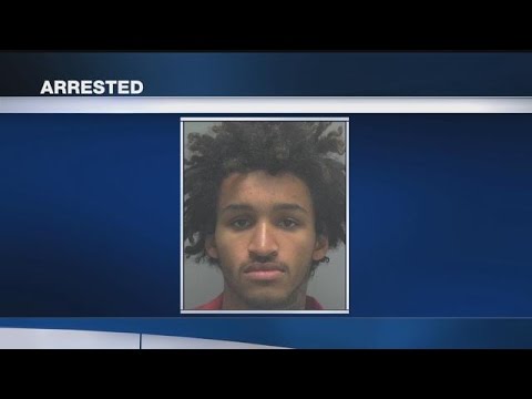 North Fort Myers man arrested after 10-day crime spree - YouTube
