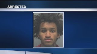 North Fort Myers man arrested after 10-day crime spree