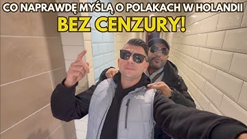 What do people REALLY think about Poles in the Netherlands?
