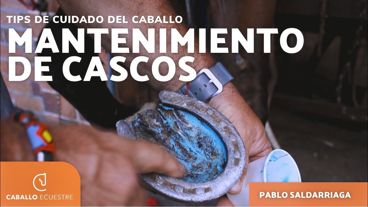 Mantenimiento de cascos en los CABALLOS 🐎👌✔✔✔