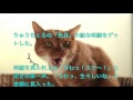 関ジャニ∞・村上が、りゅうちぇるに驚いたわけ