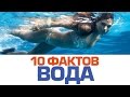 10 удивительных фактов о ВОДЕ