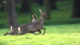 Na Man Kofr Ustad Brishna