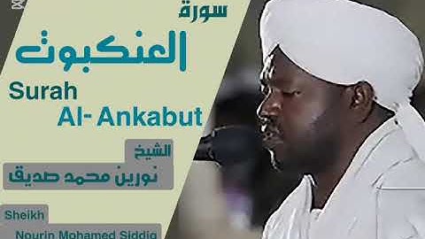 الشيخ نورين محمد صديق | سورة العنكبوت |???????????