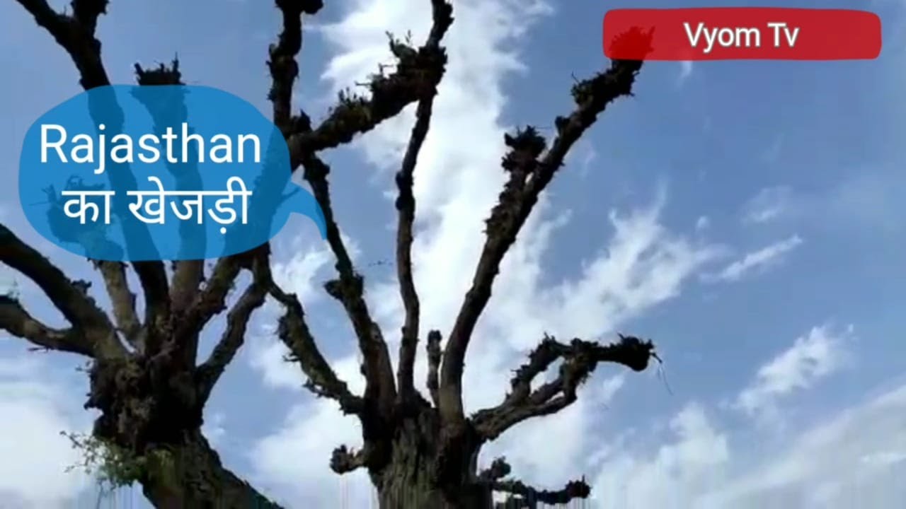 Rajasthan Ki khejadi YouTube