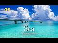 【4K】海の日に旅する世界の美しい海｜絶景リラクゼーション・癒しの自然映像・波の音｜Ocean Relaxation
