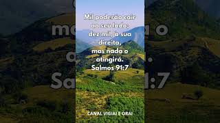 #BÍBLIA ILUSTRADA