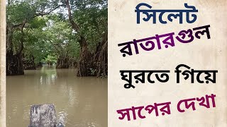 Sylhet Ratargul tour সিলেট রাতারগুল ভ্রমণ  youtube tour  entertainment viralvideo forest