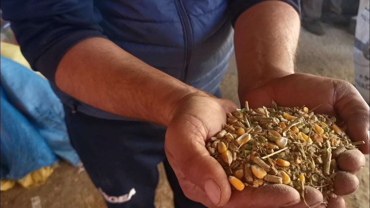 هاذي هي تخليطة القنبلة لي تقدر تخلي الحولي يوصل ل 165 كيلو لي كيستعمل عبد الحق ابن رضى لكسيبتو