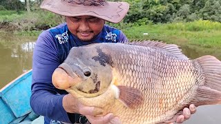 Selepas mengabas rawai dan menarik pukat