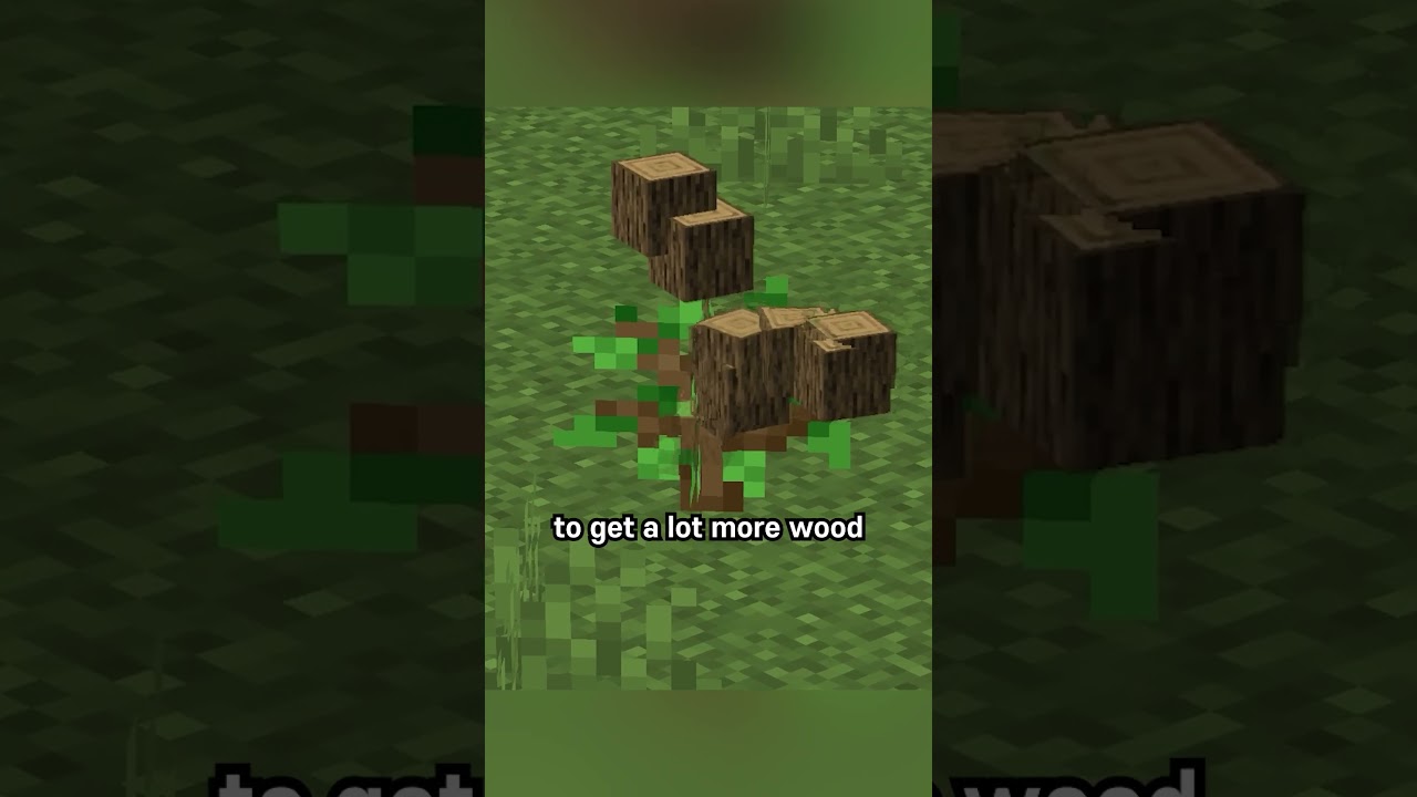 how to make trees grow taller
