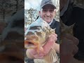 SPRING/SUMMER CARP..LOTS OF CARP CONTENT COMING PLS SUBSCRIBE AS FOR MY 2ND YR OF FISHING 🎣