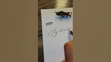 Shahbaz Name Signature ✍️ #signaturestyle #howtodraw #calligraphy #shorts