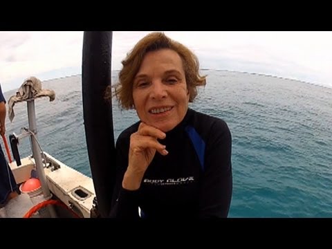 Sylvia Earle: Legendary Explorer Fights to Save Underwater Paradise ...