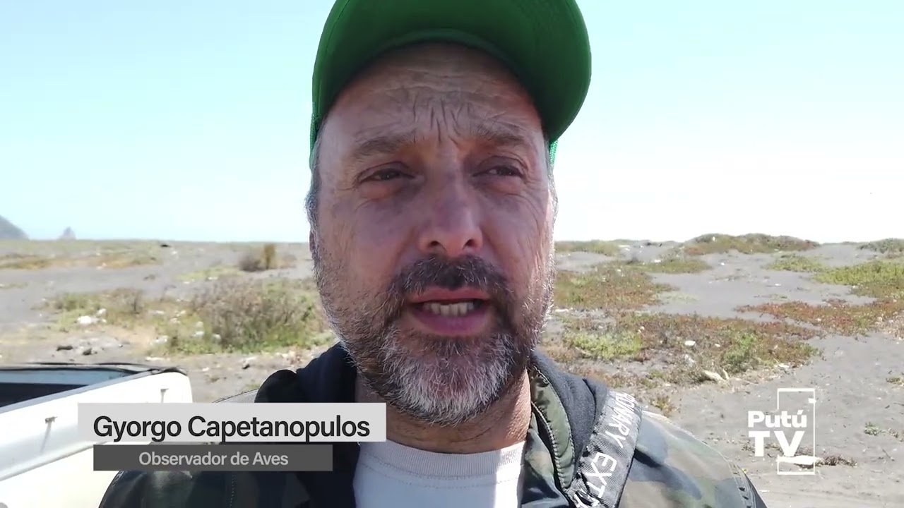 Censos Neotropicales de Aves Acuáticas