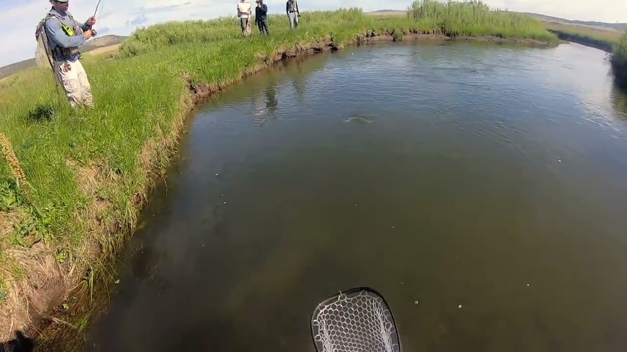 2 Massive Lost Trout Summer of 2025