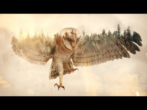 Double Exposure Photoshop Action Tutorial Double Exposure Photoshop Action Tutorial